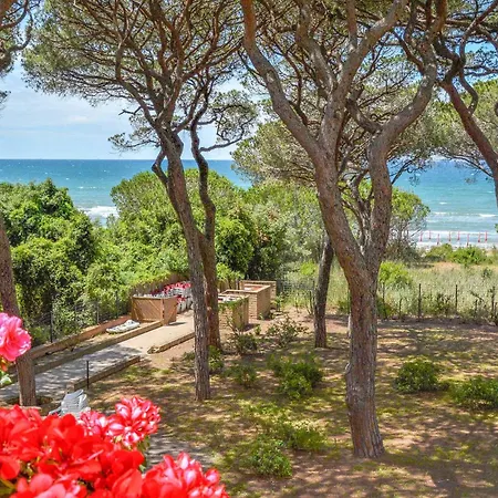 Apartment Lovely In Puntone With Kitchen